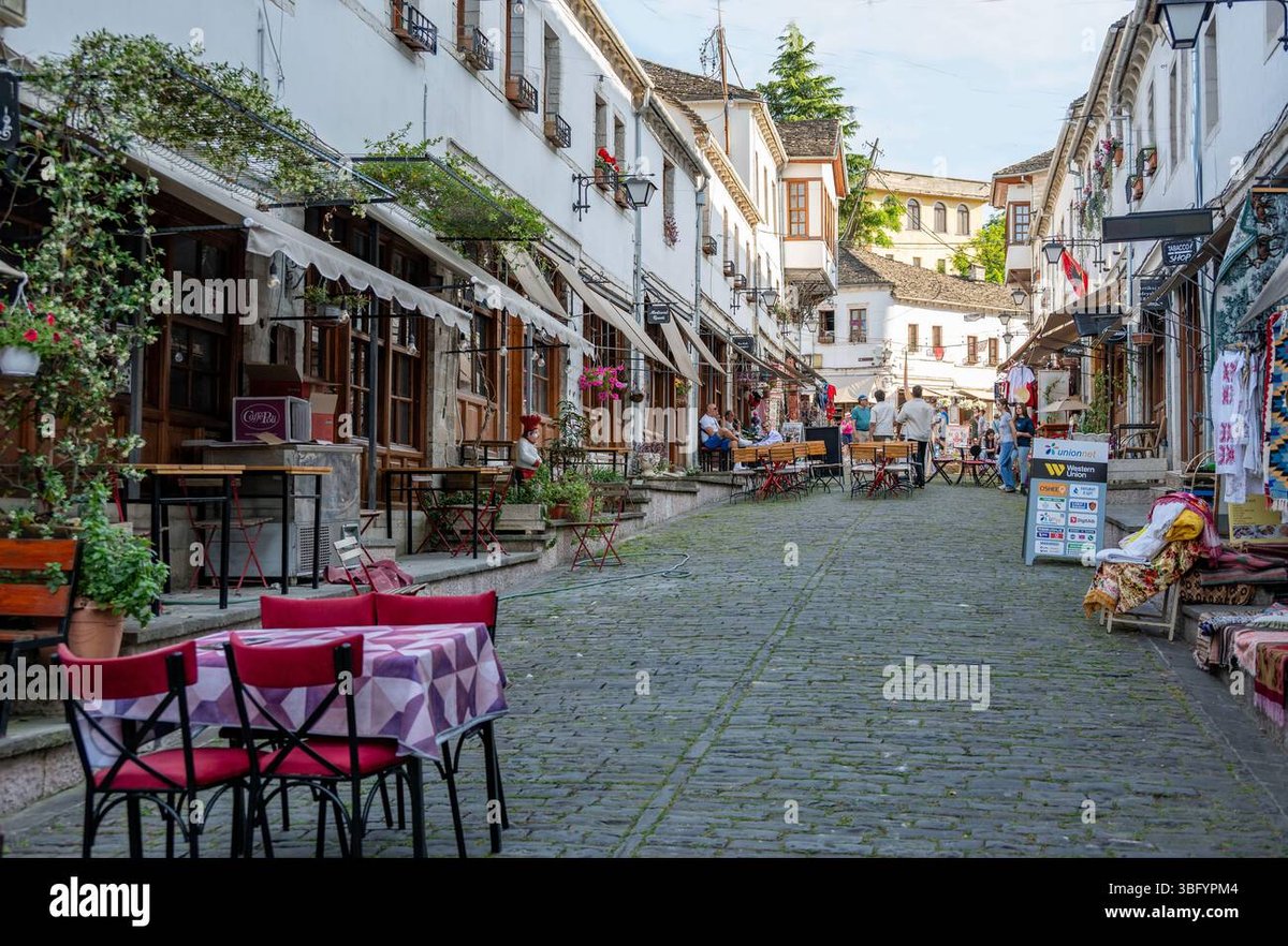 How Old Is Nami in Dragon Ball Series?